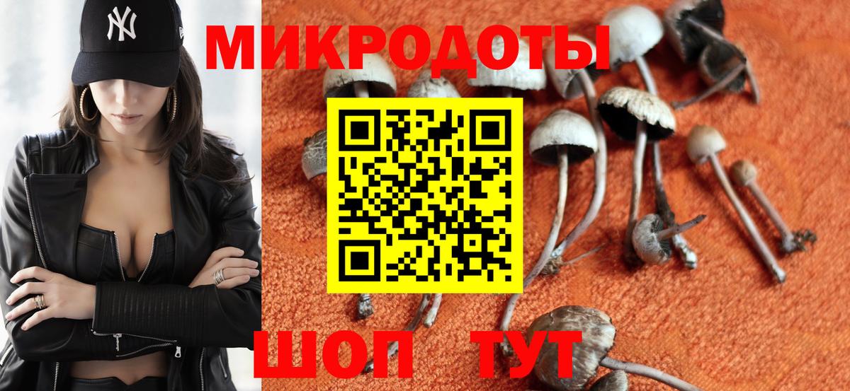 Галлюциногенные грибы мицелий  Вход с VPN  Моздок 